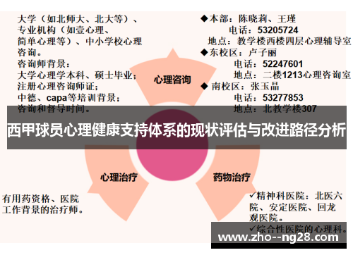 西甲球员心理健康支持体系的现状评估与改进路径分析
